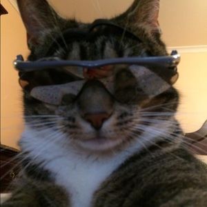 Meet your Posher, Donna